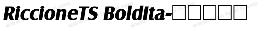 RiccioneTS BoldIta字体转换